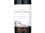 Castillo de Molina Reserva Carmenere,2013