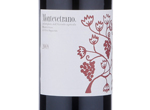 Montevetrano,2008