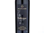 Seduzione Lacrima di Morro d'Alba Superiore,2014
