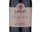 Amarone della Valpolicella "Campo Leon",2011