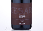 Valpolicella Ripasso Superiore "Bosan",2013