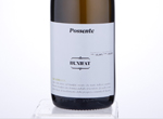 Bunifat Possente Alcamo,NV