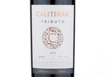 Tributo 'Single Vineyard' Malbec,2013