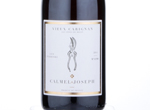 Vieux Carignan - Les Terroirs,2014