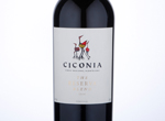 Ciconia The Reserva Blend,2014