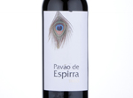 Pavão de Espirra,2012