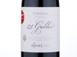Spier 21 Gables Pinotage,2013