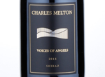 Voices of Angels,2013