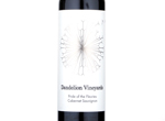 Pride of the Fleurieu Peninsula Cabernet Sauvignon,2014
