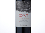 Coyam,2012