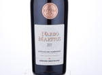 Narbo Martius,2015