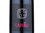 Cariňu,2013