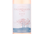 Peach Garden Rose,2016
