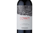 Coyam,2013