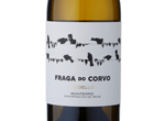 Fraga Do Corvo,2015