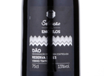 Vinho tinto Dão Reserva Selecção de Enófilos,2013