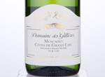 Muscadet Cotes de Grand Lieu s/lie,2017