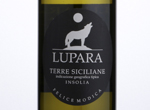 Lupara Insolia,2016