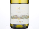 Pintao Viognier,2017