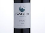 Qunita do Crasto Castrum,2015