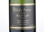 Raleigh Brut,2015