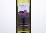 Cimarosa Chile Sauvignon Blanc,2016