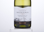 Castillo de Molina Sauvignon Blanc,2017