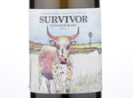Survivor Sauvignon Blanc,2017