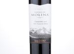 Castillo de Molina Carmenere Reserva,2016