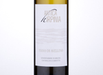 Fiano di Avellino,2017