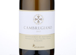 Verdicchio di Matelica Riserva Cambrugiano,2015