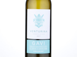 Venturina Gavi,2017
