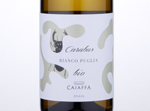 Carabus,2017