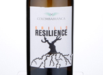 Grillo Resilience,2017