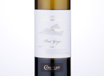 Pinot Grigio Trentino Contessa Giovanna Manci,2017