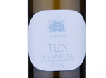 T-Lex Ansonica,2017