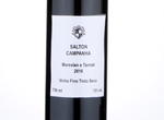 Salton Campanha,2016