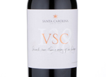VSC,2013