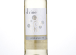 D:vine Pinot Grigio Qualitätswein Rheinhessen,2016