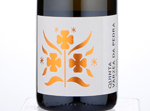 Quinta Várzea da Pedra - Branco Reserva,2016
