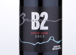 B2,2015