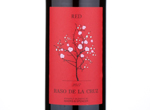 Raso de la Cruz Tinto,2017