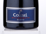 Valdobbiadene Prosecco Superiore Millesimato Elevo Extra Dry,2017