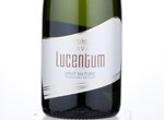 Cava Lucentum Brut,NV