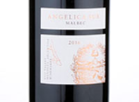 Tesco Finest Angelica Sur Malbec,2016