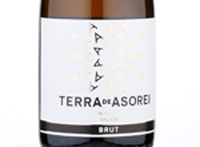 Terra de Asorei Sparkling Albarino,NV