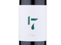 17 by Pinea,2015