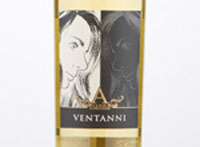 Vernaccia di San Gimignano Ventanni,2016