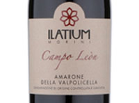 Amarone della Valpolicella "Campo Leon",2014