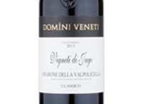 Amarone della Valpolicella Classico Vigneti di Jago,2013